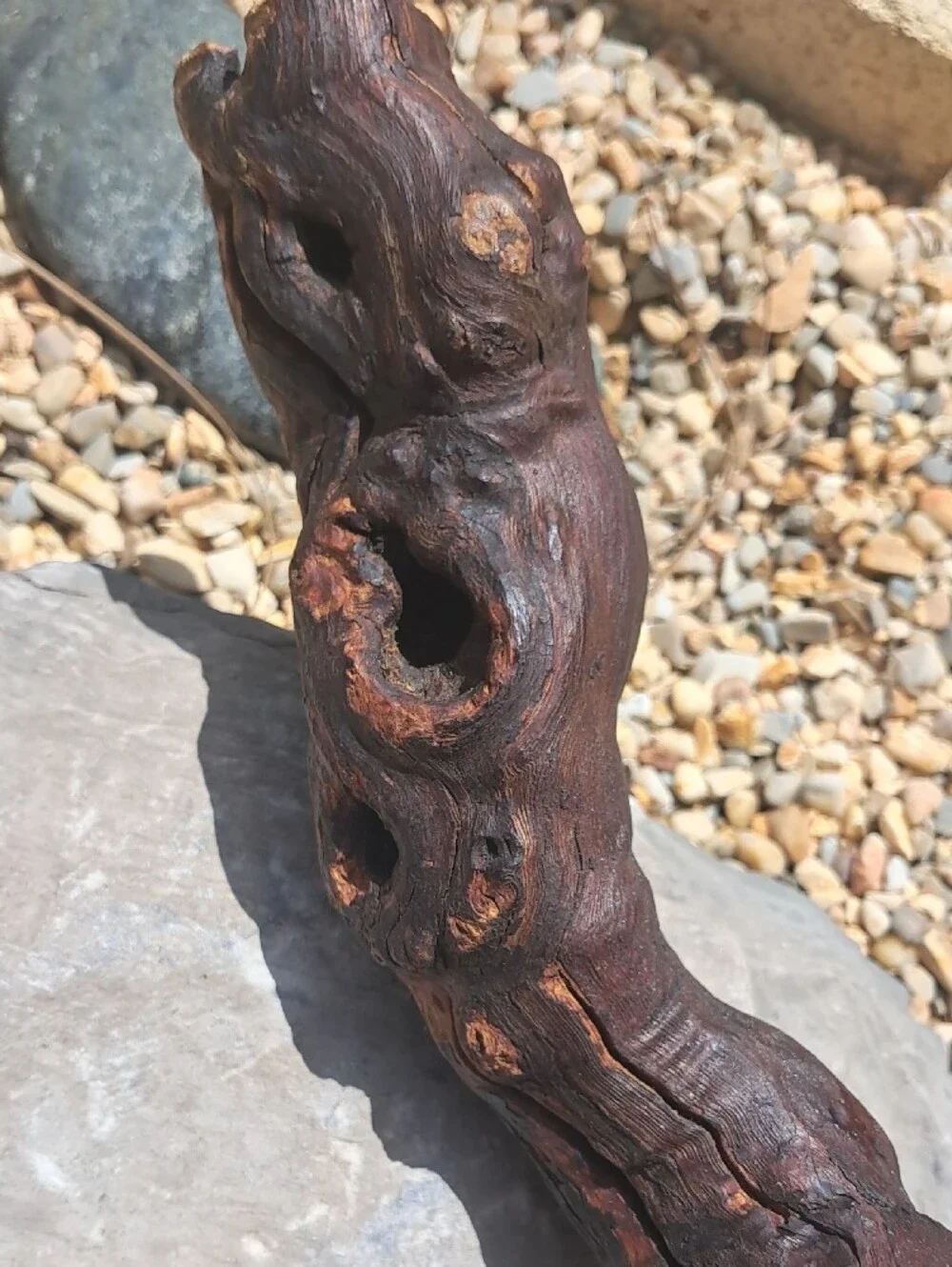 Natural Driftwood Accent Branch - Rustic Home Decor